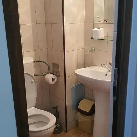 Homestay Vila Miraj Costinesti
